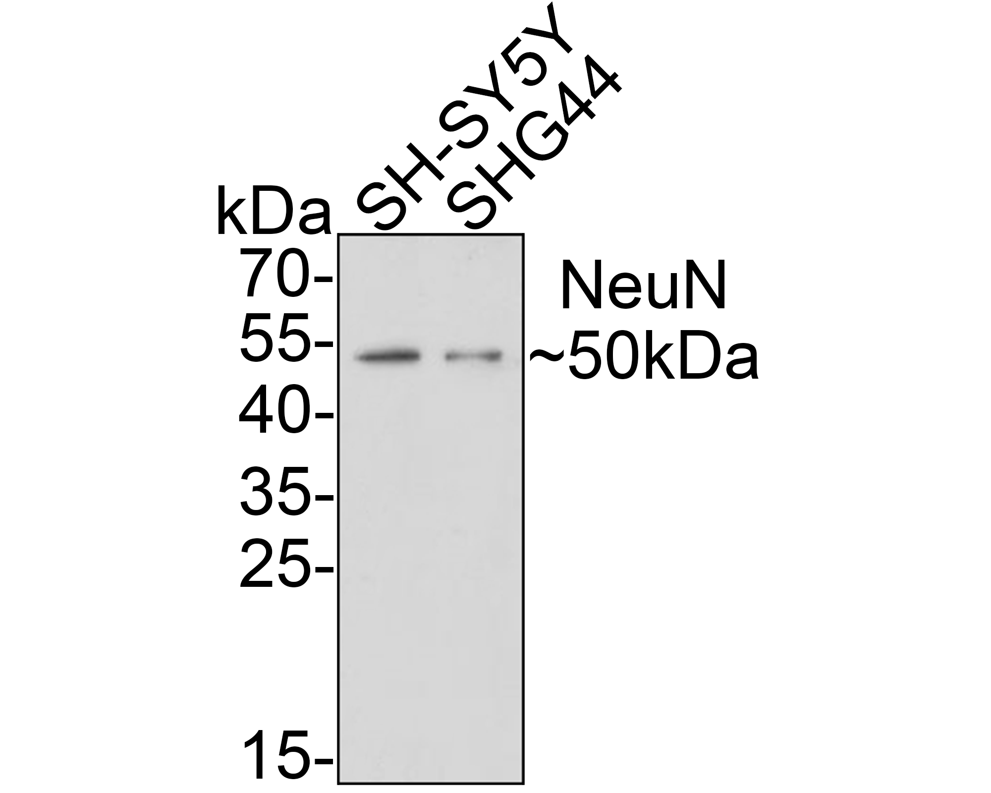 HA610031_3.png