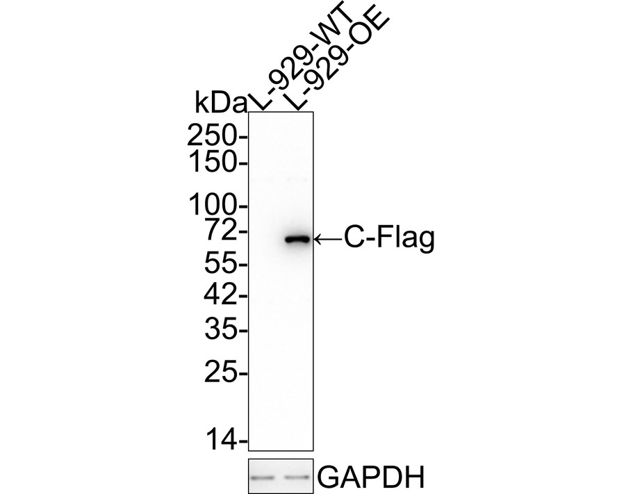 HA610054_2.jpg