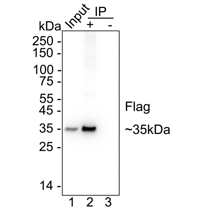 HA610054_3.jpg
