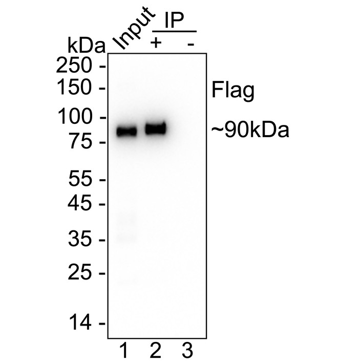 HA610054_4.jpg