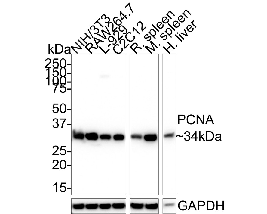 HA610056_3.jpg