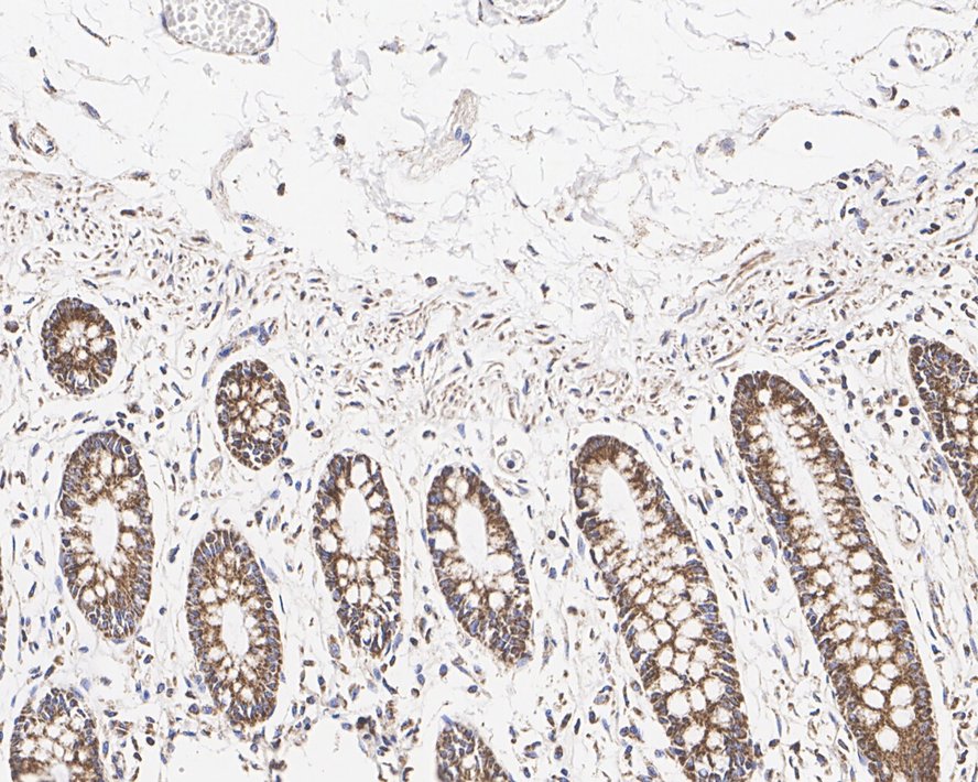 HA610057_3.jpg