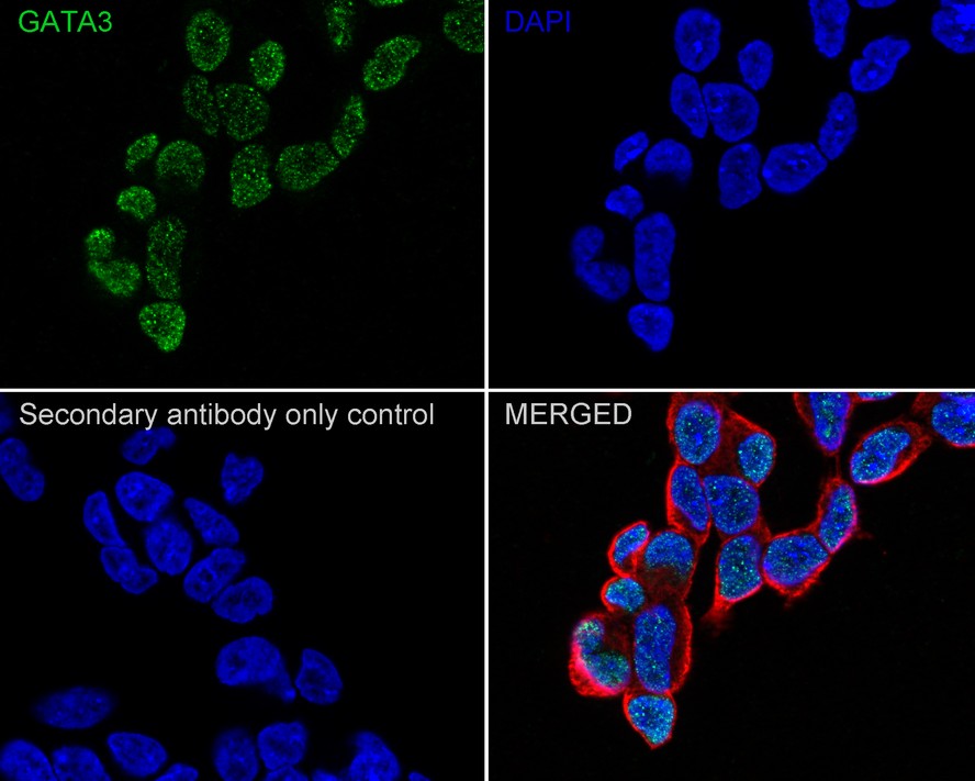 HA610069_2.jpg