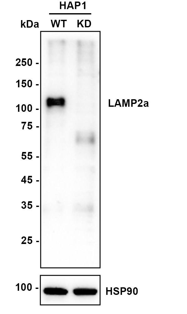 HA610072_2.jpg