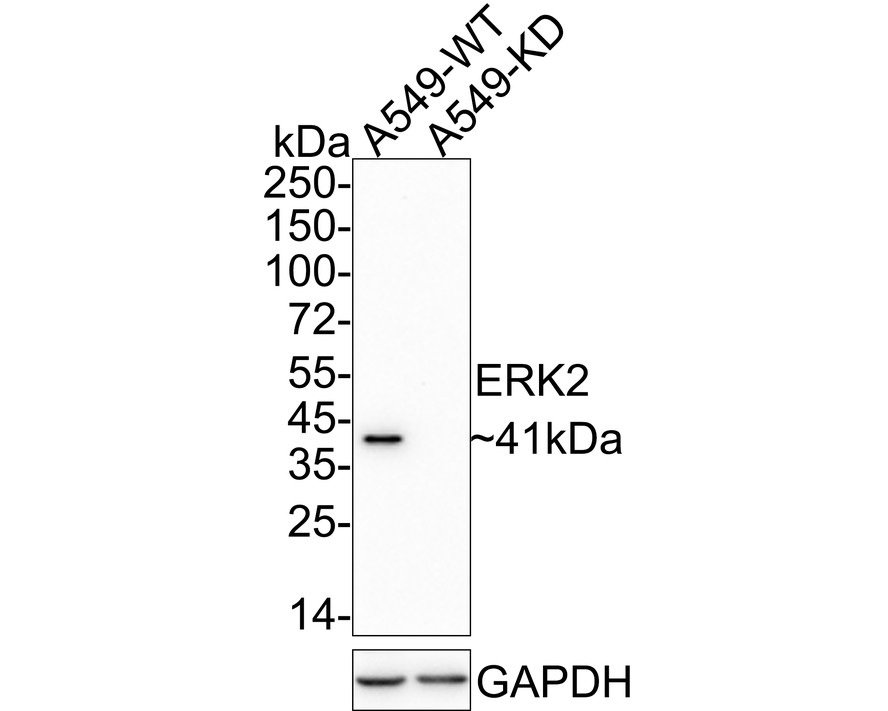 HA610079_2.jpg