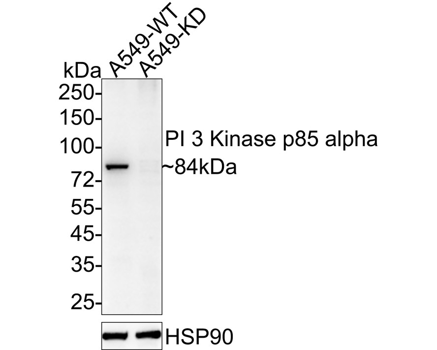 HA610084_3.jpg