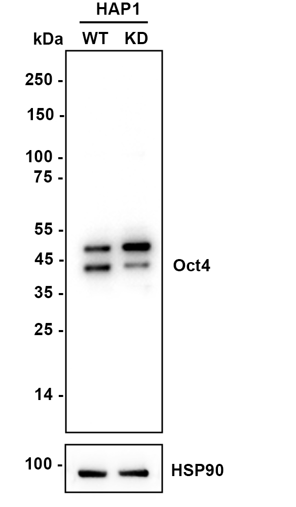 HA610085_2.jpg