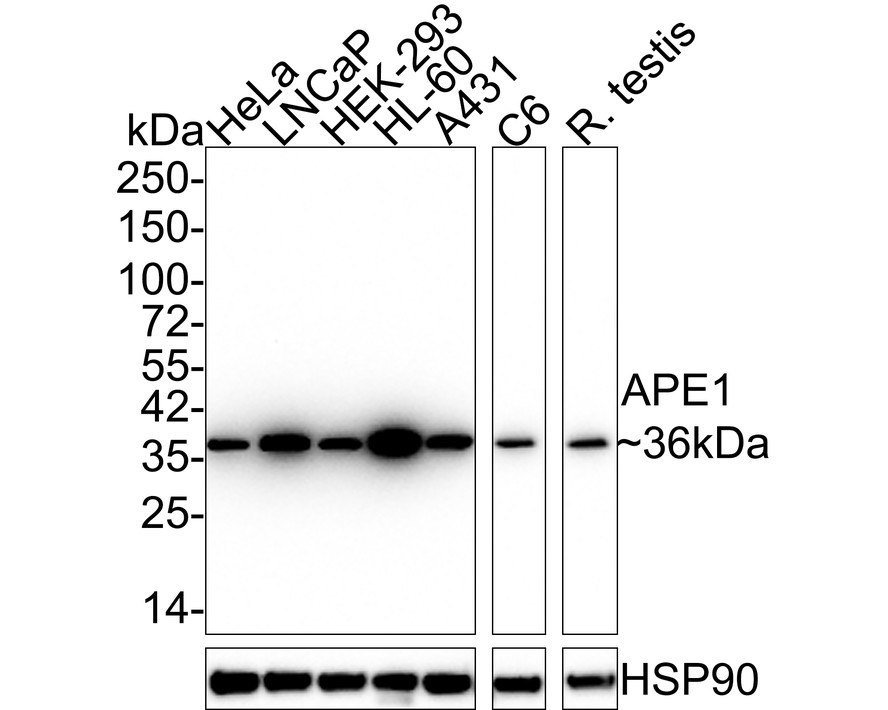 HA610089_1.jpg