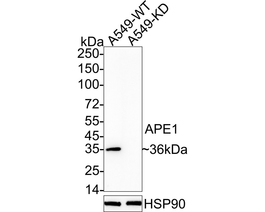 HA610089_2.jpg