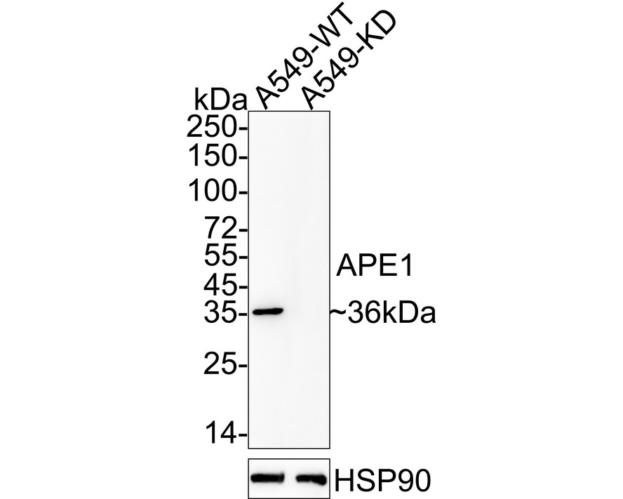 HA610090_2.jpg