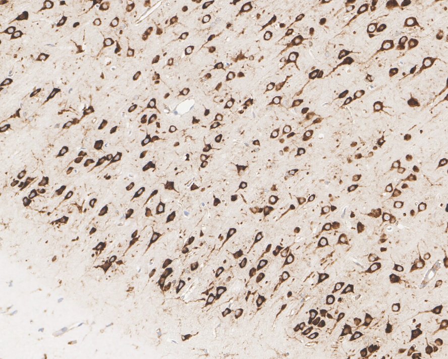 HA610092_6.jpg