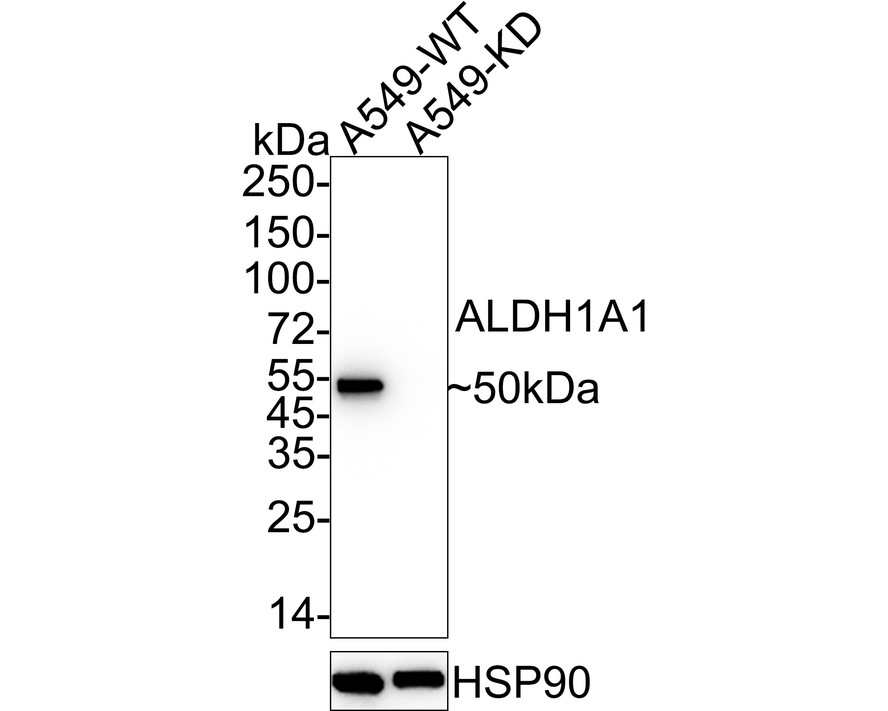 HA610093_2.jpg