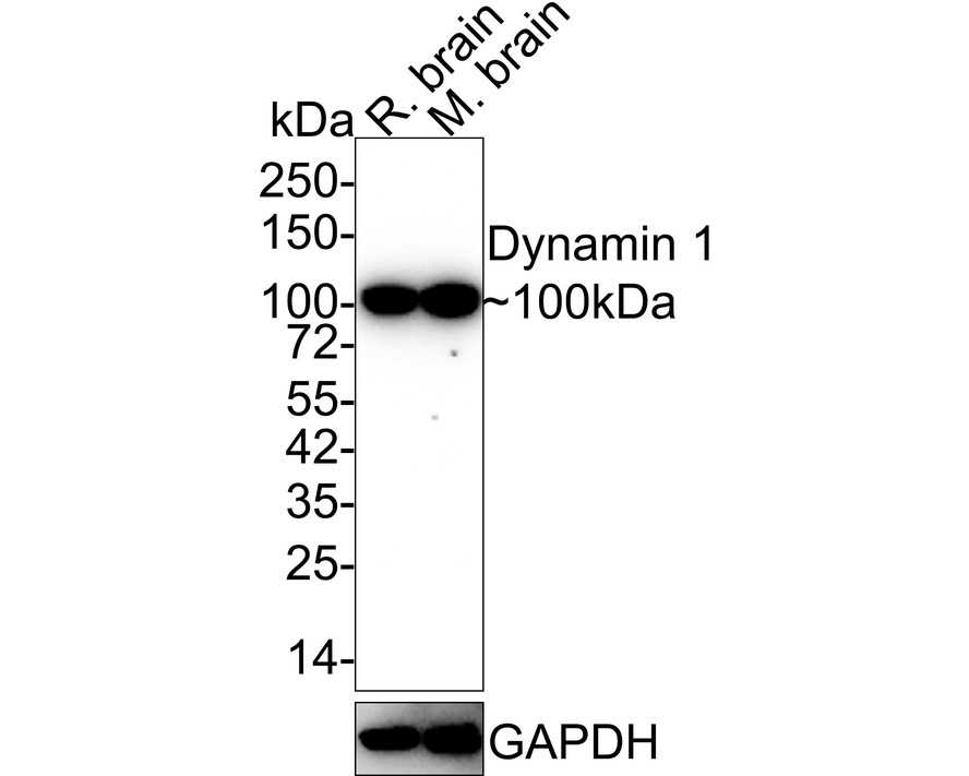 HA610105_1.jpg