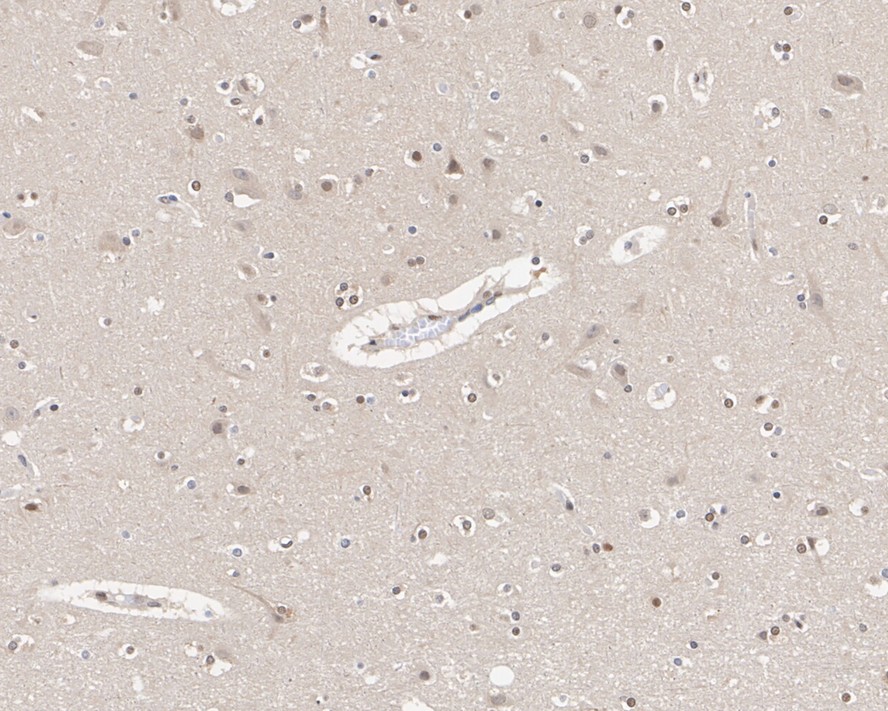 HA610109_2.jpg