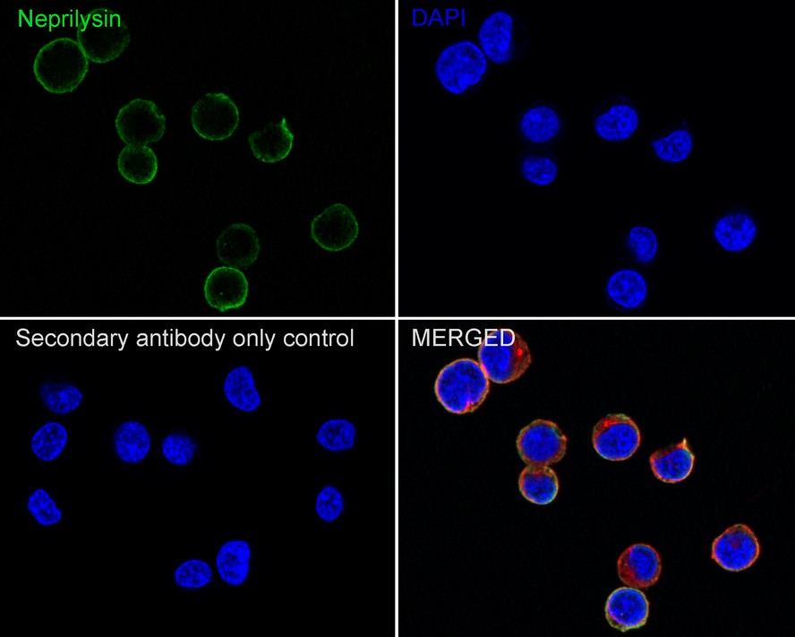 HA610121_3.jpg