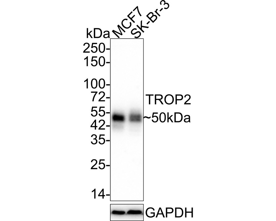HA610138_1.jpg