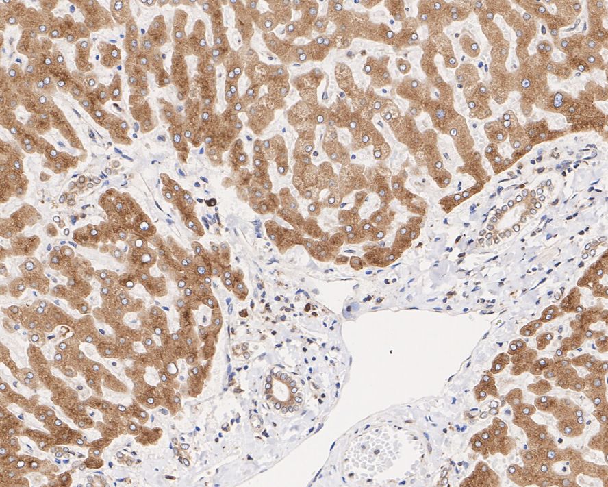 HA610143_3.jpg