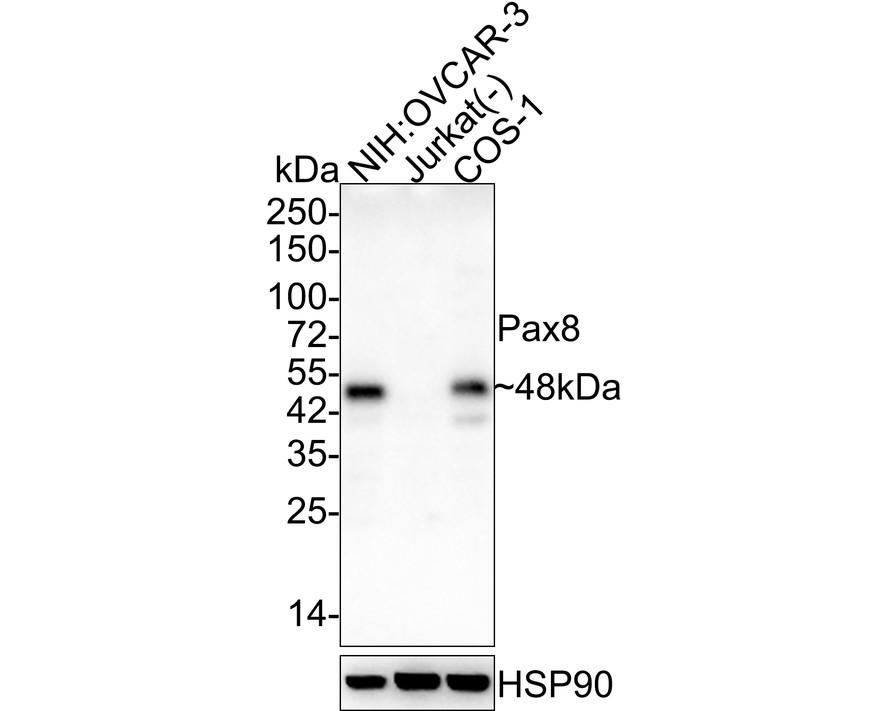 HA610145_1.jpg