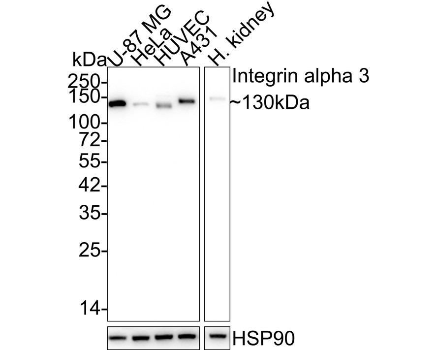 HA610148_1.jpg