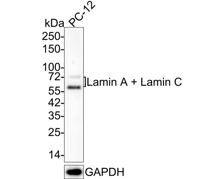 HA610149_2.jpg
