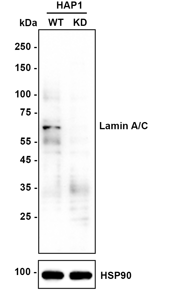 HA610149_3.jpg