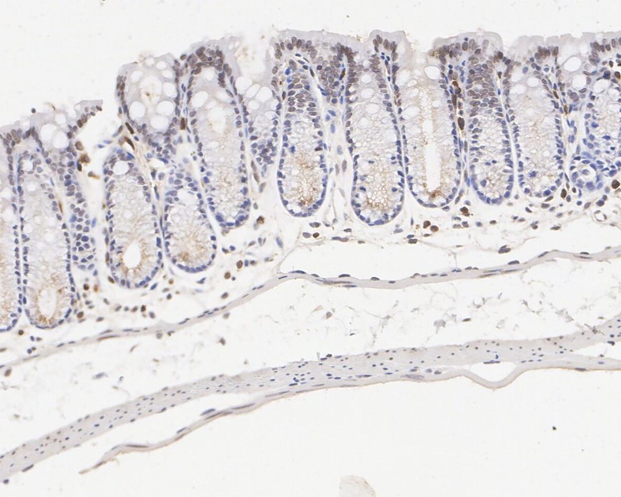 HA610149_8.jpg