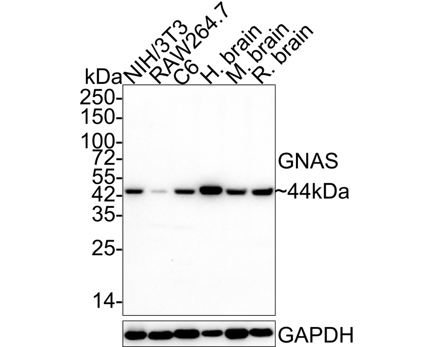 HA610150_1.jpg