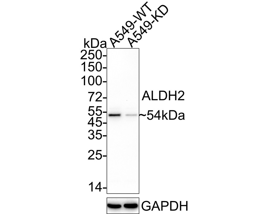 HA610152_2.jpg