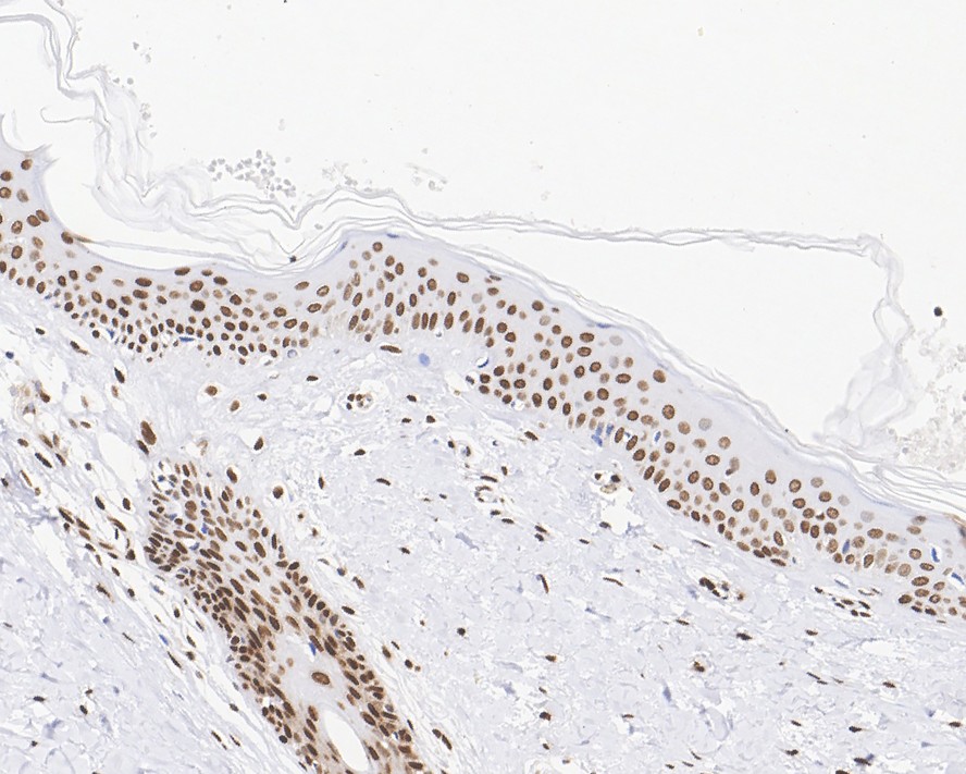 HA610153_2.jpg