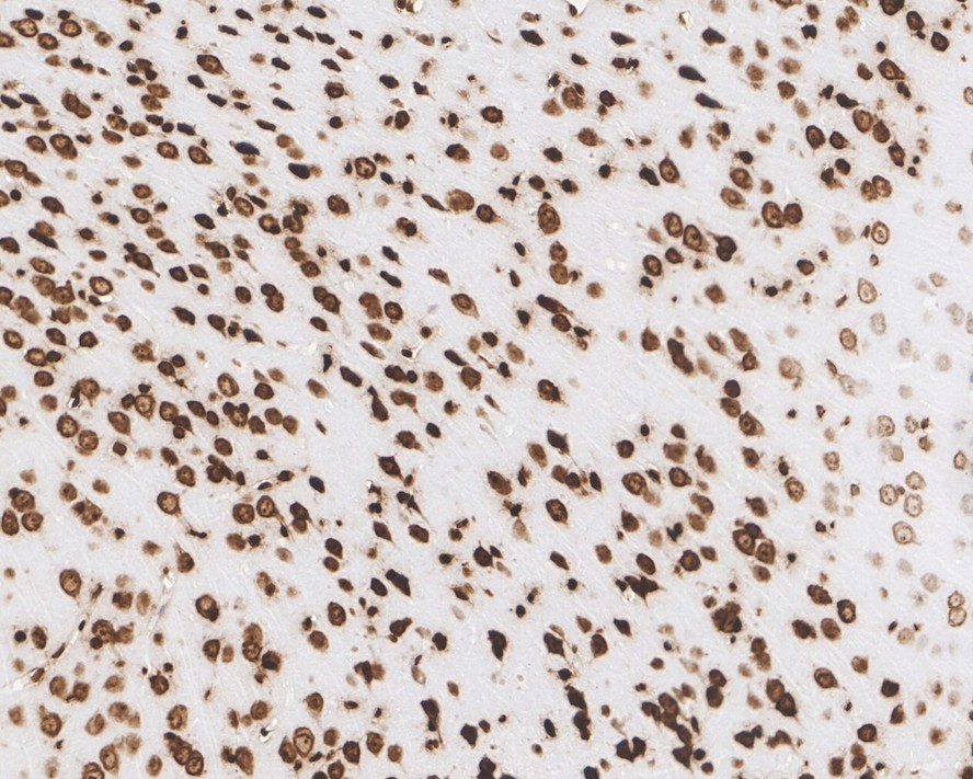 HA610153_3.jpg