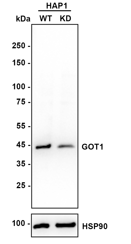 HA610154_2.jpg