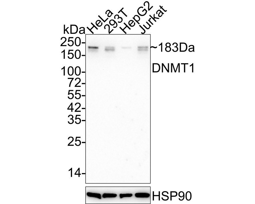 HA610156_1.jpg