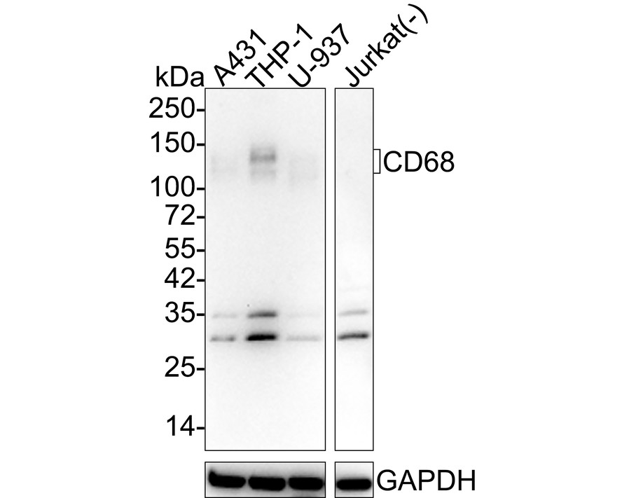 HA610165_1.jpg