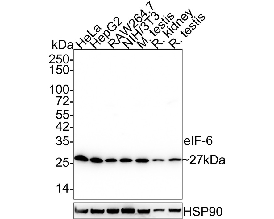 HA610166_1.jpg