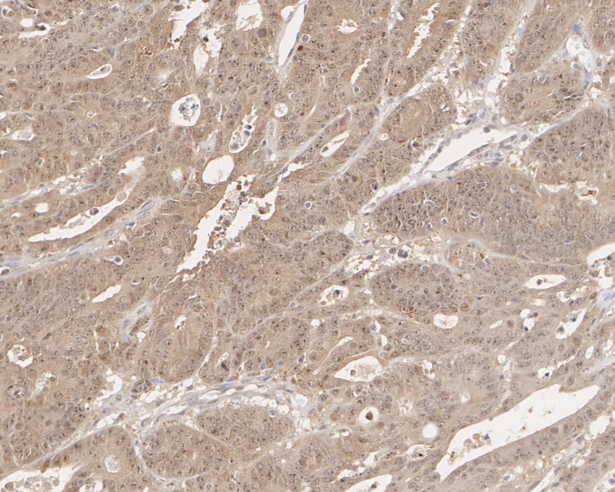 HA610166_2.jpg