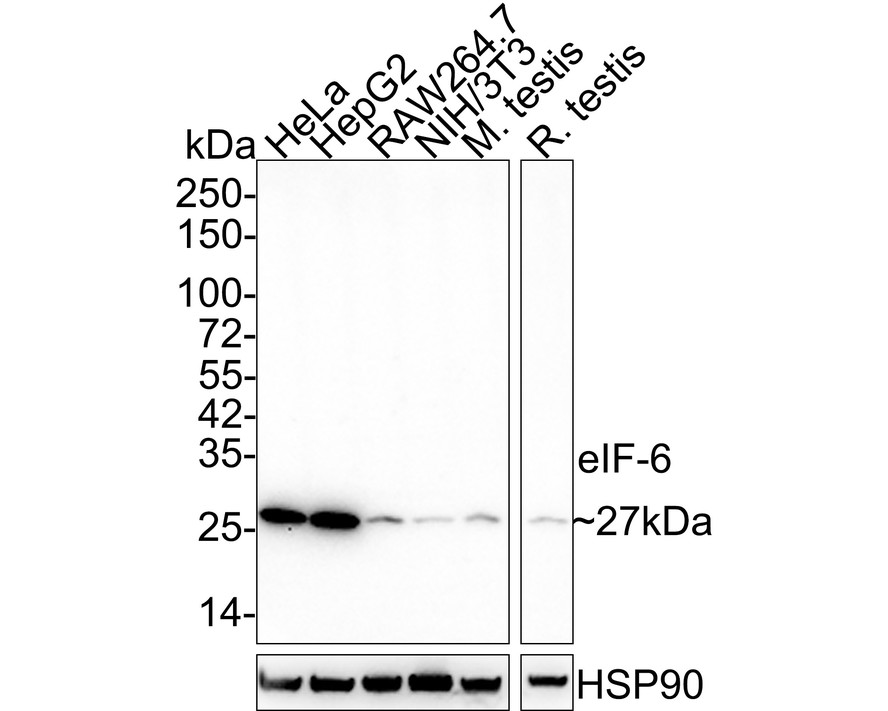 HA610167_1.jpg