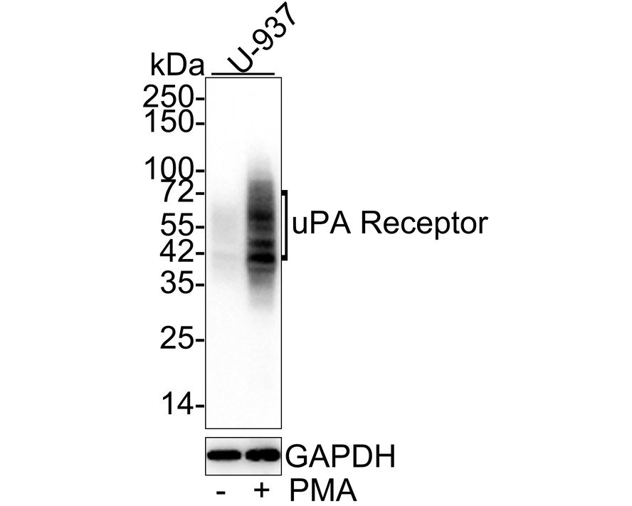 HA610169_1.jpg