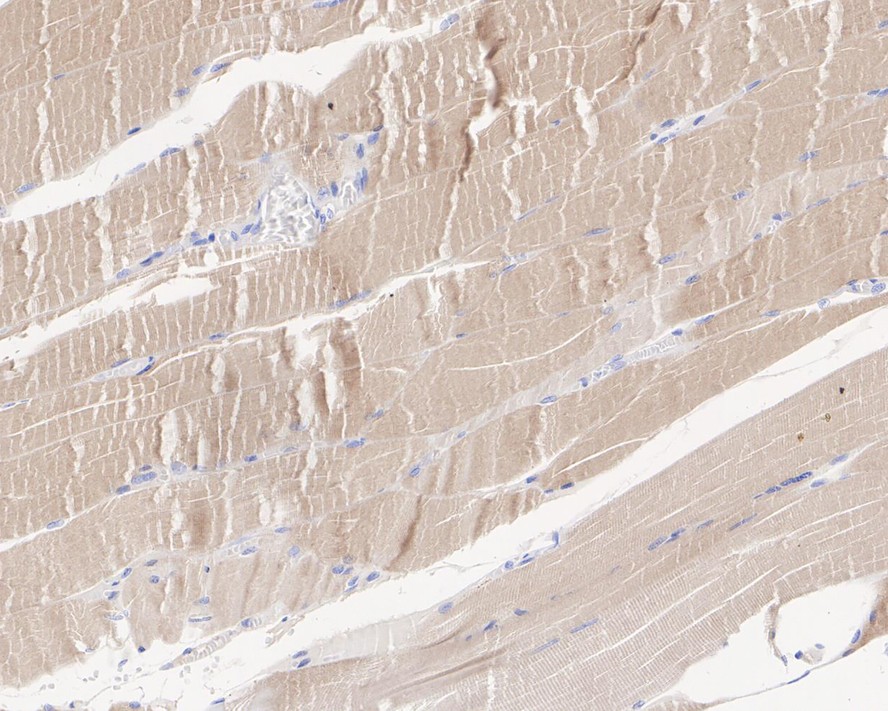 HA610170_2.jpg