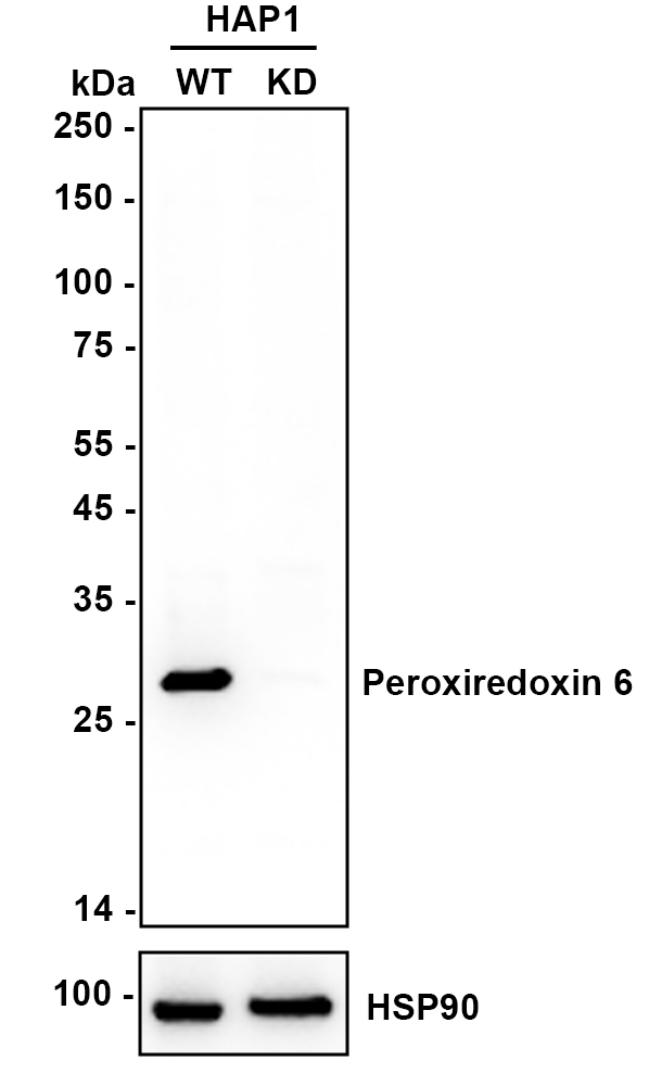 HA610174_2.jpg