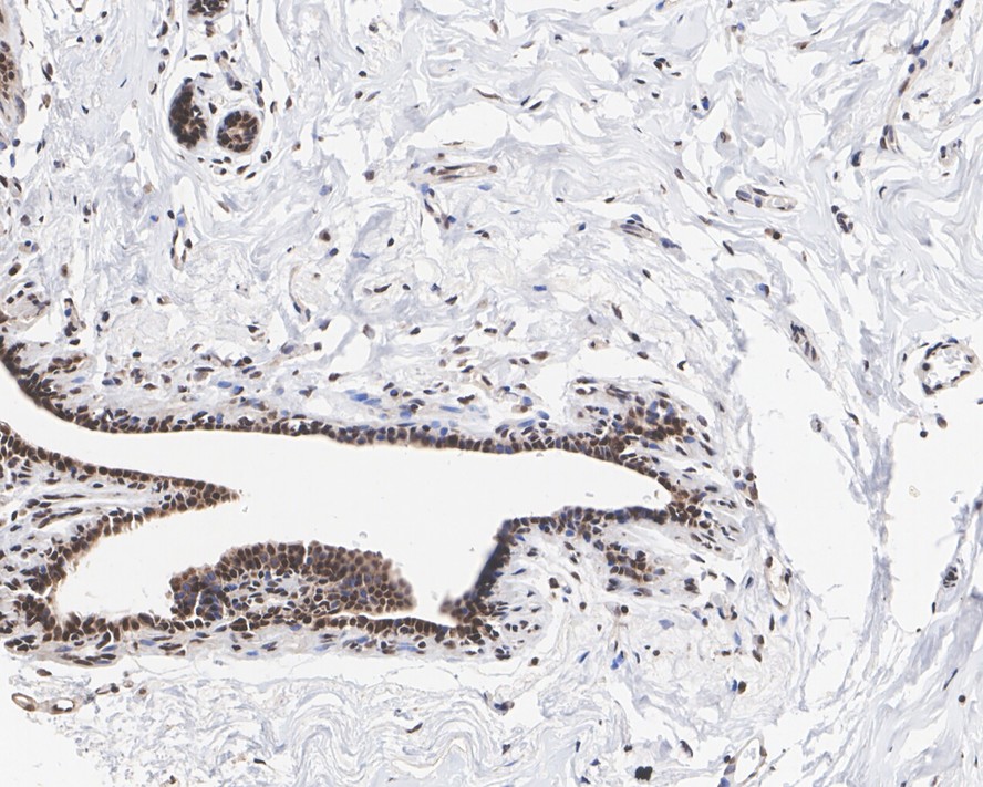 HA610177_2.jpg
