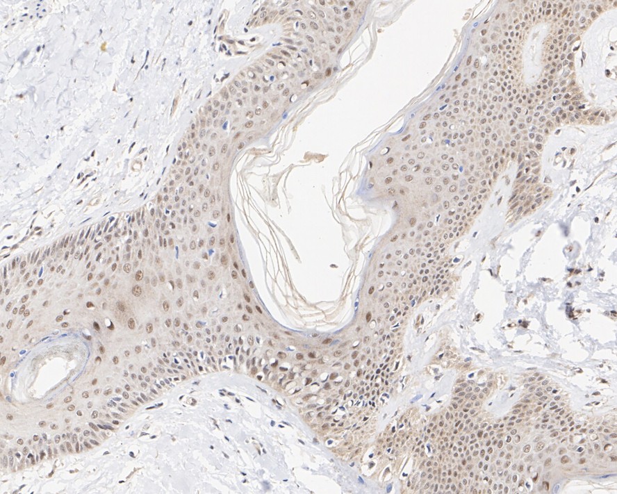 HA610177_4.jpg
