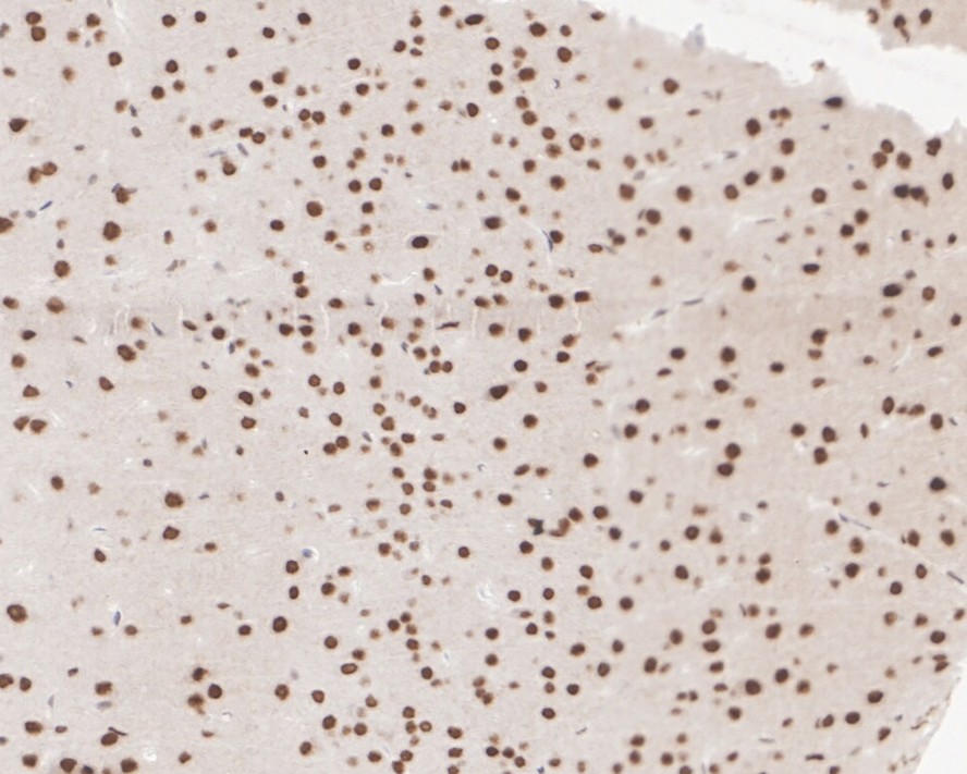 HA610177_5.jpg
