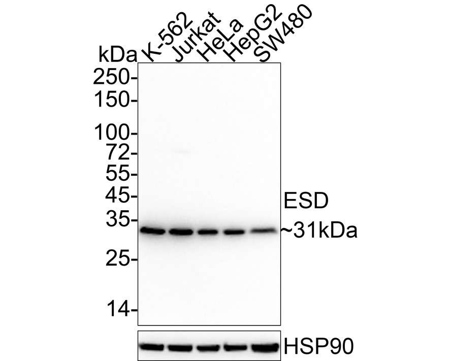 HA610178_1.jpg