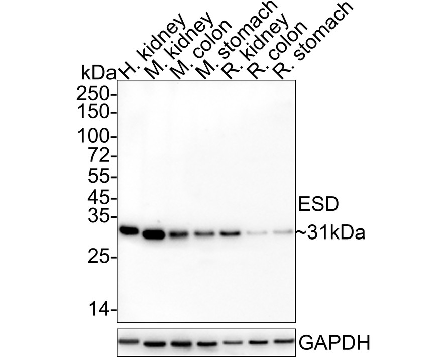 HA610178_2.jpg