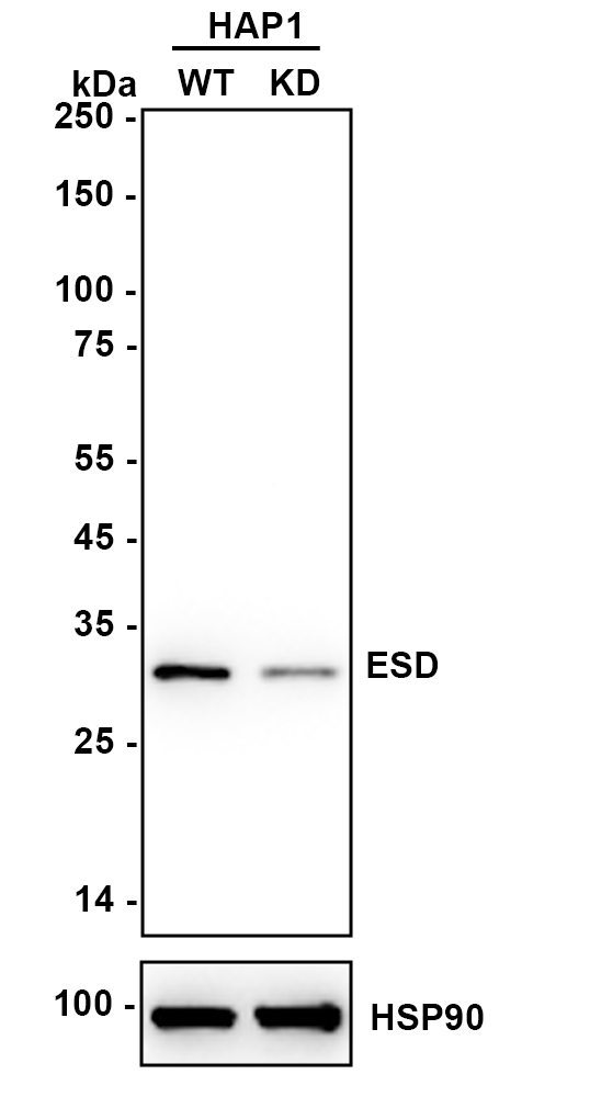 HA610178_3.jpg