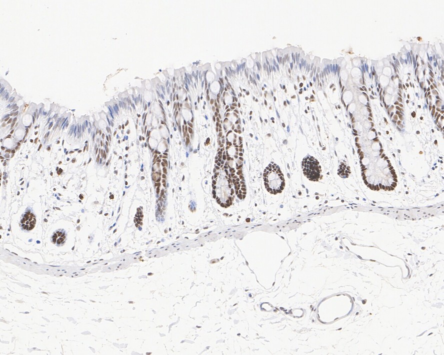 HA610179_8.jpg