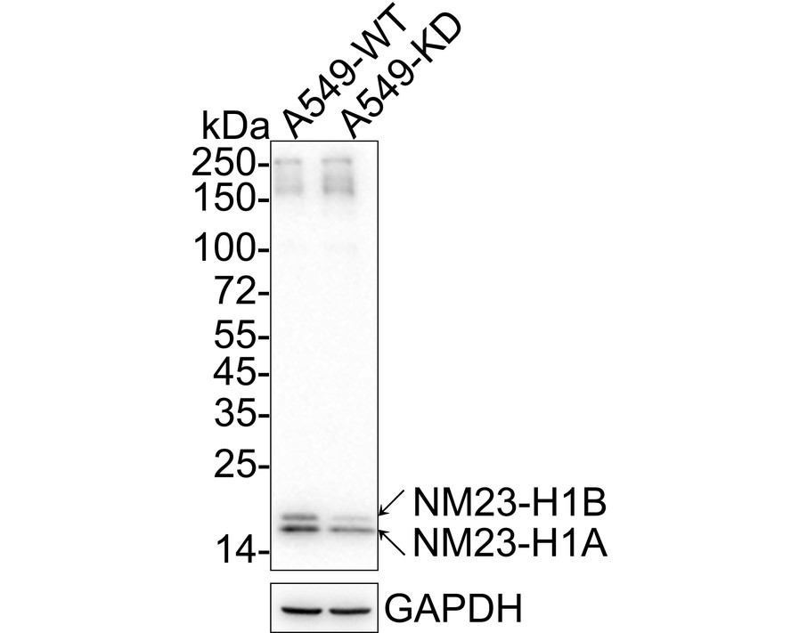 HA610180_6.jpg