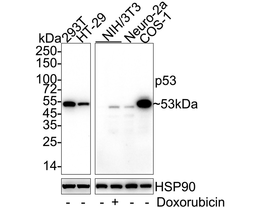 HA610187_1.jpg