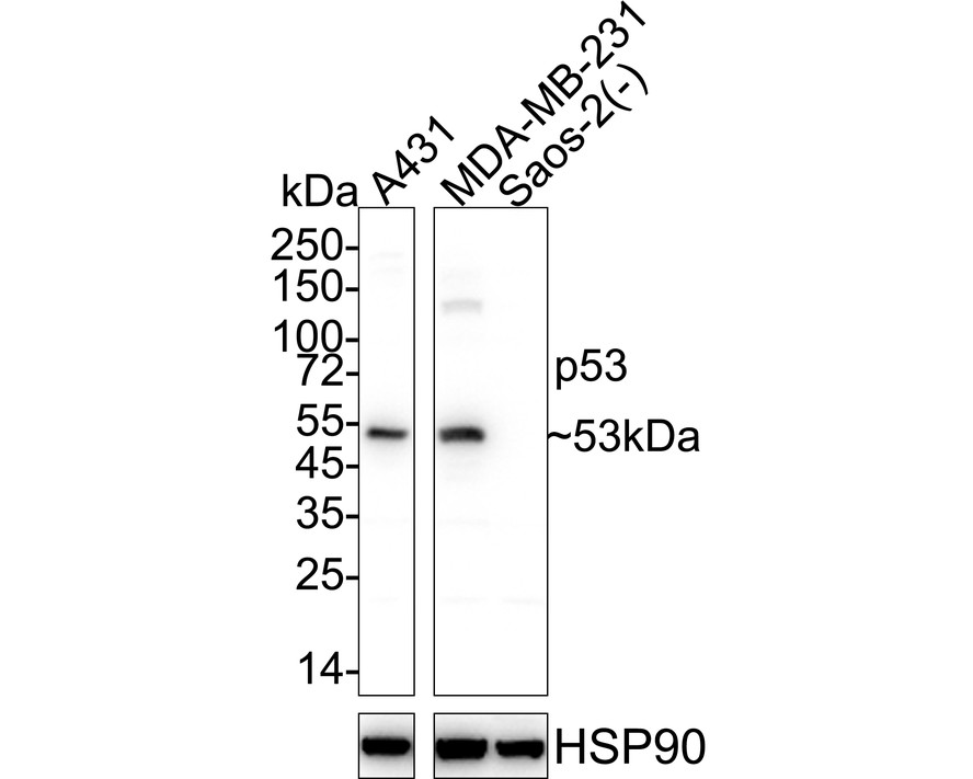 HA610187_2.jpg
