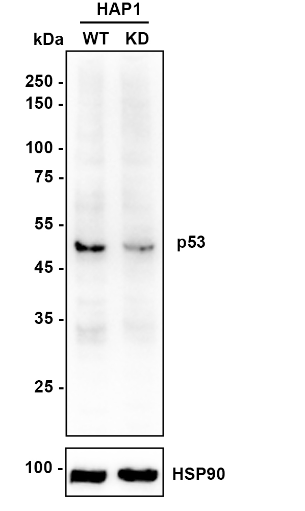 HA610187_3.jpg